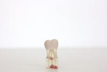 Load image into Gallery viewer, 3 MTA and Bioceramic training molar teeth