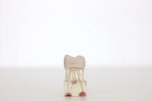 Load image into Gallery viewer, 3 MTA and Bioceramic training molar teeth