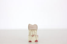 Load image into Gallery viewer, 3 MTA and Bioceramic training molar teeth
