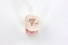 Load image into Gallery viewer, 3 MTA and Bioceramic training molar teeth
